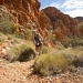 Journeys Made, Lives Changed at Run Larapinta Stage Race