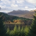 Tourism Boost for Galloway Forest Park