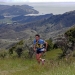 Kauri Runners Growing Coromandel