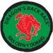 The Dragonâ€™s Back Race â€“ Film Review