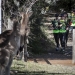 Seagate Win Geoquest in Australia