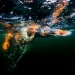 Engadin Swimrun for the Toughest