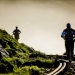 Trail Buffet on The Garden Route