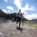 UTMBÂ® 2015 : Columbia â€“ Proud Partners Of Ultra-Trail Du Mont-BlancÂ®
