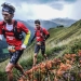 Gore-tex Transalpine Run 2015; The Countdown is On