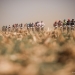 Entries Open For joBerg2c, South Africaâ€™s Greatest MTB Journey