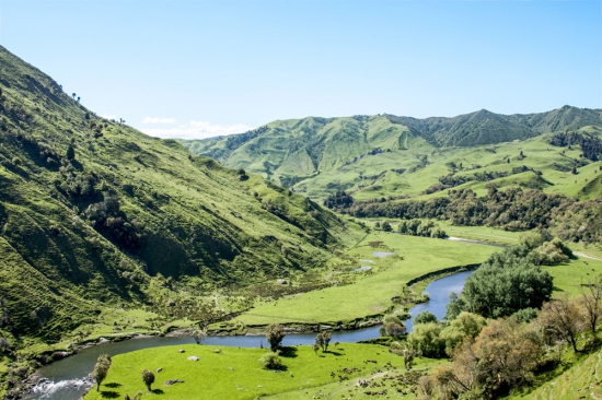 Northern Hawke's Bay