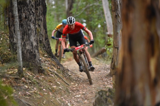 Riding the Otway Odyssey