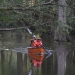 Solve the Enigma in Dunns Creek State Park, Florida