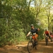 Spring in the Chilterns with Questars