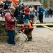 Banff Mountain Film Festival Tour Celebrates 50 years of Outdoor Entertainment 