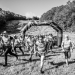 Largest Ever Field Prepares for the 2026 Endless Mountains Adventure Race in Vermont