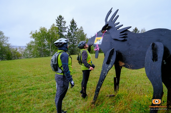 Kissing the moose. For good luck?