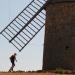 Options and Strategy at la Couvertoirade