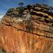 The Outback Expedition Race