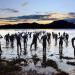 Entries Open for the 2014 Celtman Extreme Triathlon