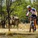 Nedbankâ€™s Save the Rhino 2 day MTB Stage Race