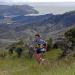 Great Kauri Run Turns 10
