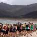 Kauri Runners Turn 10