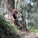 Mountain Bikers Crank Stage 2 of the Bike Buller MTB Festival