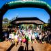 Running to Save the Rhino