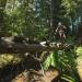 BCBR Day 2: Cumberland (48km; 1137m Elevation Gain)