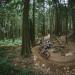 Day 5: Sechelt to Langdale (41km & 1356m Elevation Gain)