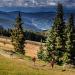 Tacos, Margaritas and Trail Running (Oh My!)
