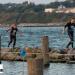 Island Explorer Adventure in Denmark