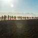 The Long March