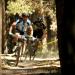 Riders From Across the State converge on Orange for MTB Series Finale
