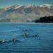 Racing the Red Bull Defiance