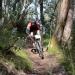 Flying start to first day of the Bike Buller MTB Festival presented by Orbea