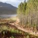 Rain Doesnâ€™t Dampen Absa Cape Epic Spirit