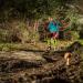 The Zugspitz Trailrun Challenge is Just Around the Corner