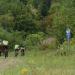 Raid International Gaspesie - Pushing and Coasting