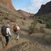 Snakes And Scorpions â€“ But The Kalahari Heat Is Scarier