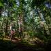 BC Bike Race Partners with Pear Izumi