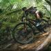 A Local Winner in Squamish