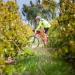 Gravel & Grape Wines You Over