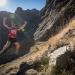 The Race To Conserve The Wild Magic of Monties